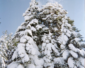 05_02_12 Ski St Pierre